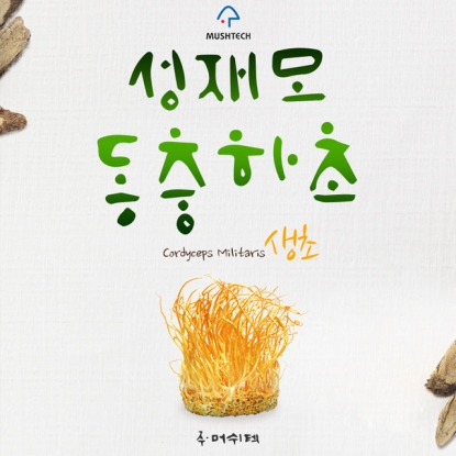 top_banner